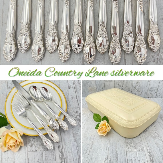 Vintage Silverware Set Oneida Community Country Lane Ballad Flatware Service for 12 with silverware chest, Wedding Gift