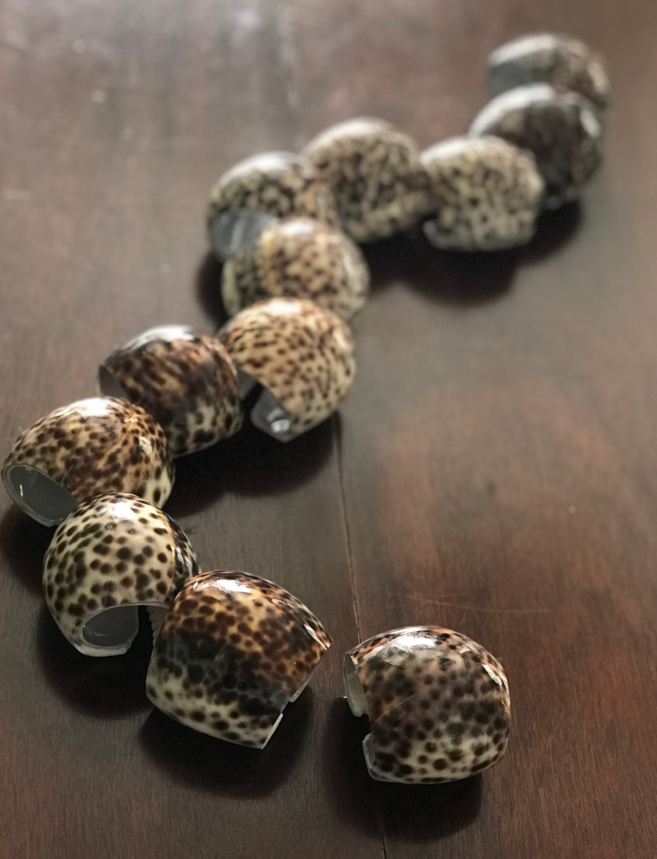 Vintage Seashell Napkin Rings, Brown Leopard Cowie shell Napkin holders