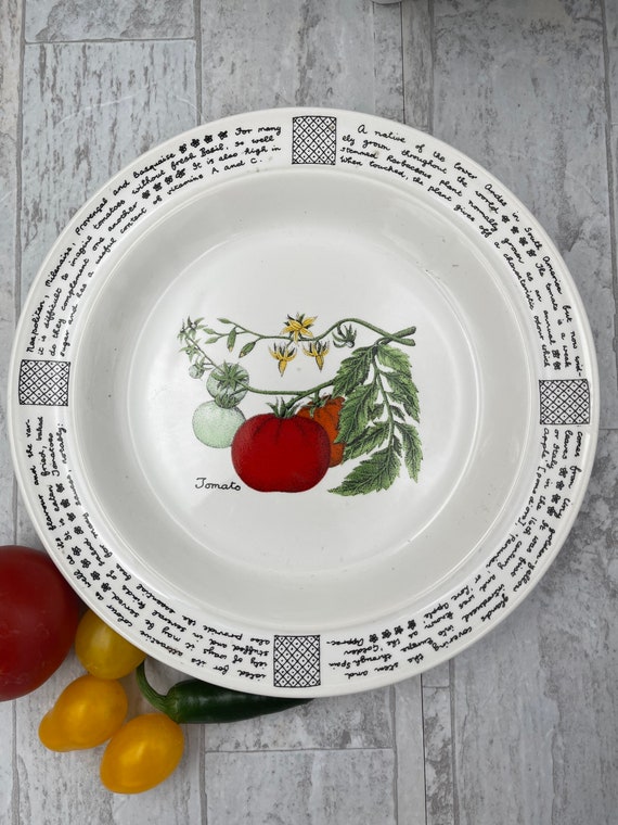 Vintage Tomato salad Plate, rare Lauffer Gailstyn Sutton history pattern