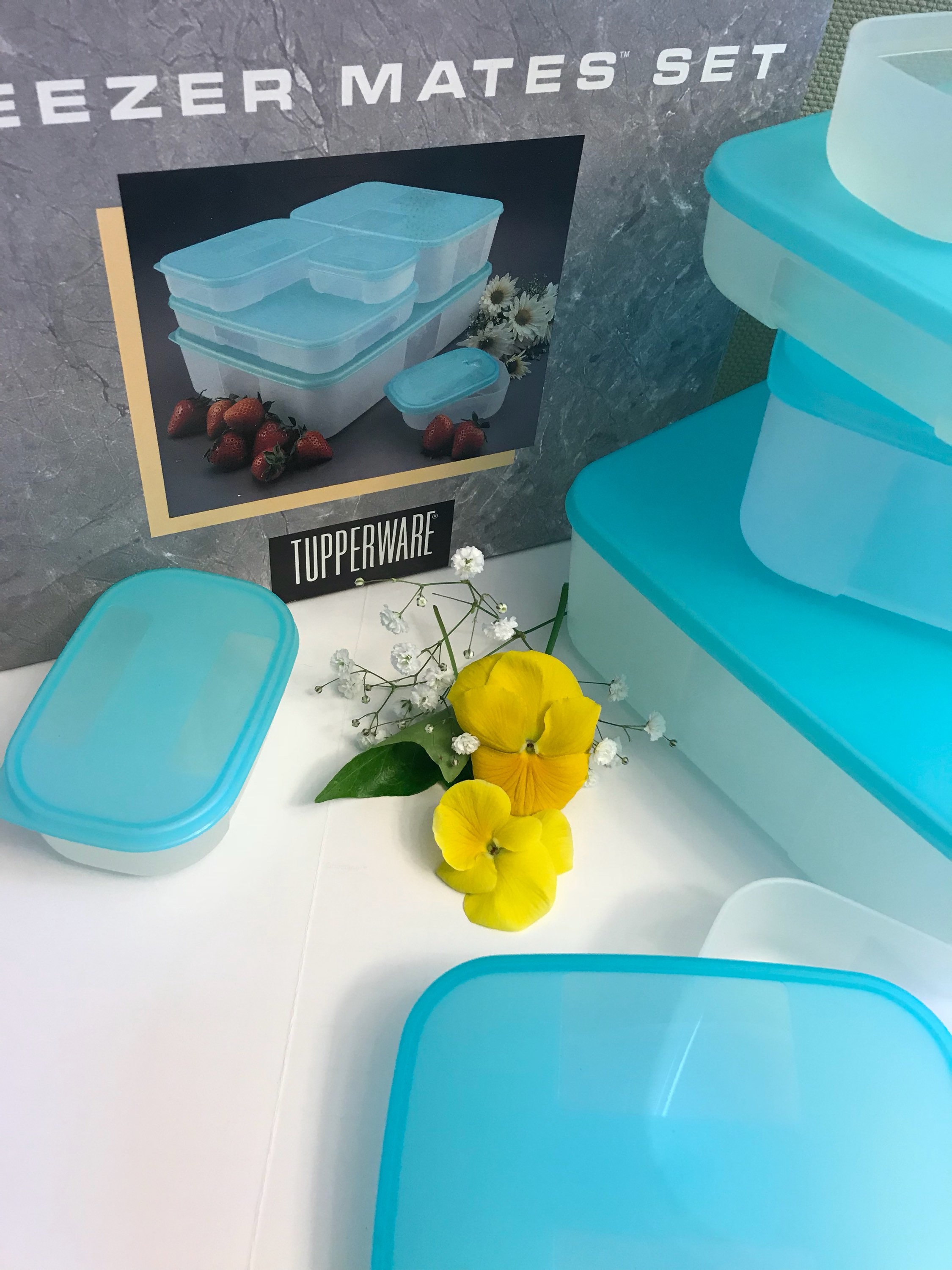 Vintage Tupperware Set of 3 Freezer Mates 2 #2094A, Other #2089B With Aqua  Lids