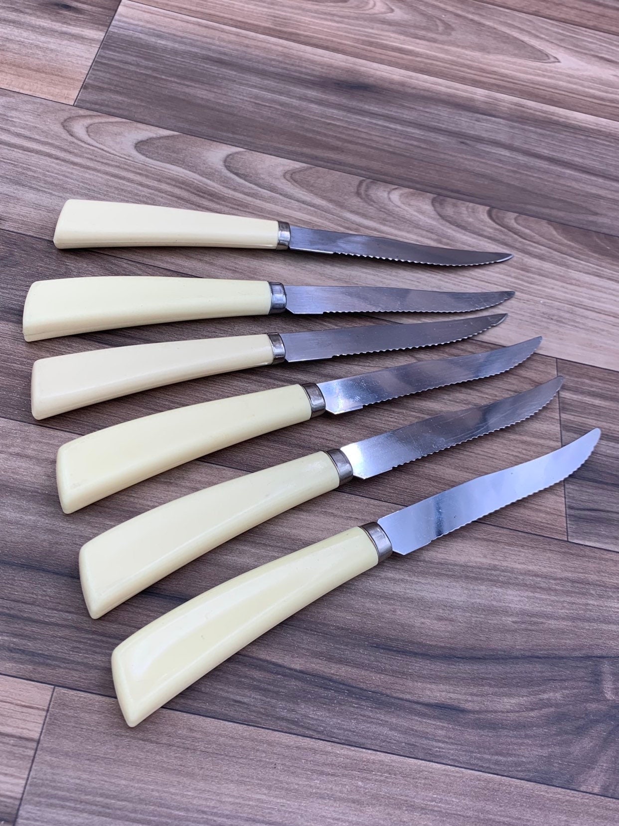 Vintage Steak knife set with Plastic Handles, Lifetime Cutlery Serrated