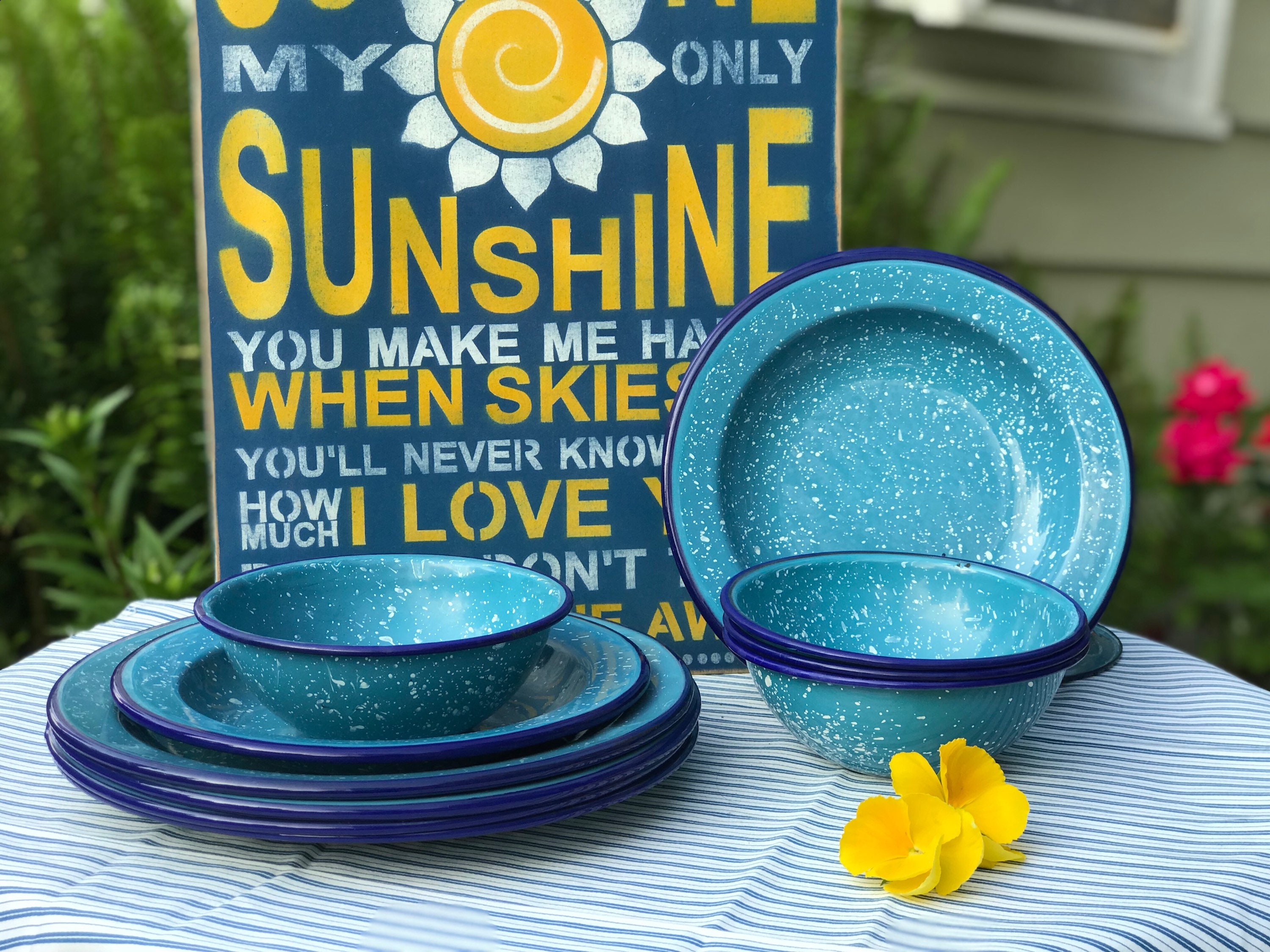 Blue metal camping dishes hotsell