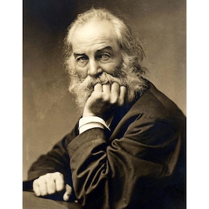 Walt Whitman - Quality Reprint of a Vintage Photo