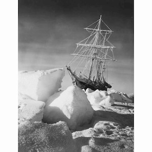 La Resistencia Atrapada en el Hielo - Reimpresión de calidad de una fotografía antigua