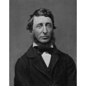 Portrait von Henry David Thoreau - Qualitäts-Reprint eines Vintage Fotos