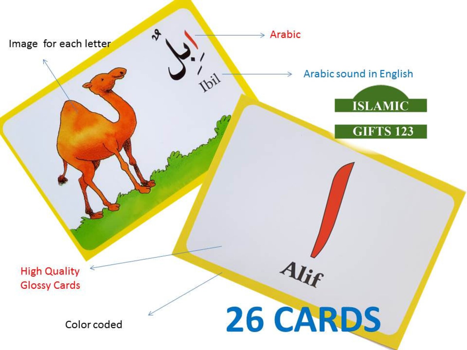 Arabic Alphabet flash cards Get FREE Arabic Alphabets puzzle Etsy