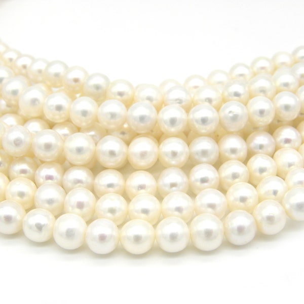 6 mm - Grade A - Perles de culture d'eau douce presque rondes - Blanc (1 fil avec 65 perles ou 10 perles)