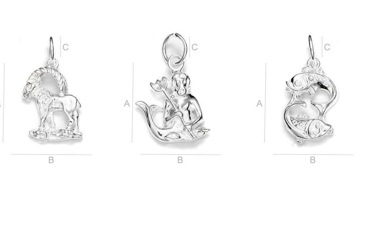 Solid Sterling Silver 925 Zodiac Sign Charm, Star Sign Pendant ...