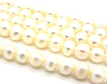 6 x 7 mm Forme Pomme de Terre - Rond Irrégulier - Perles de Culture d'Eau Douce - Blanches (1 Fil soit 58 Perles)