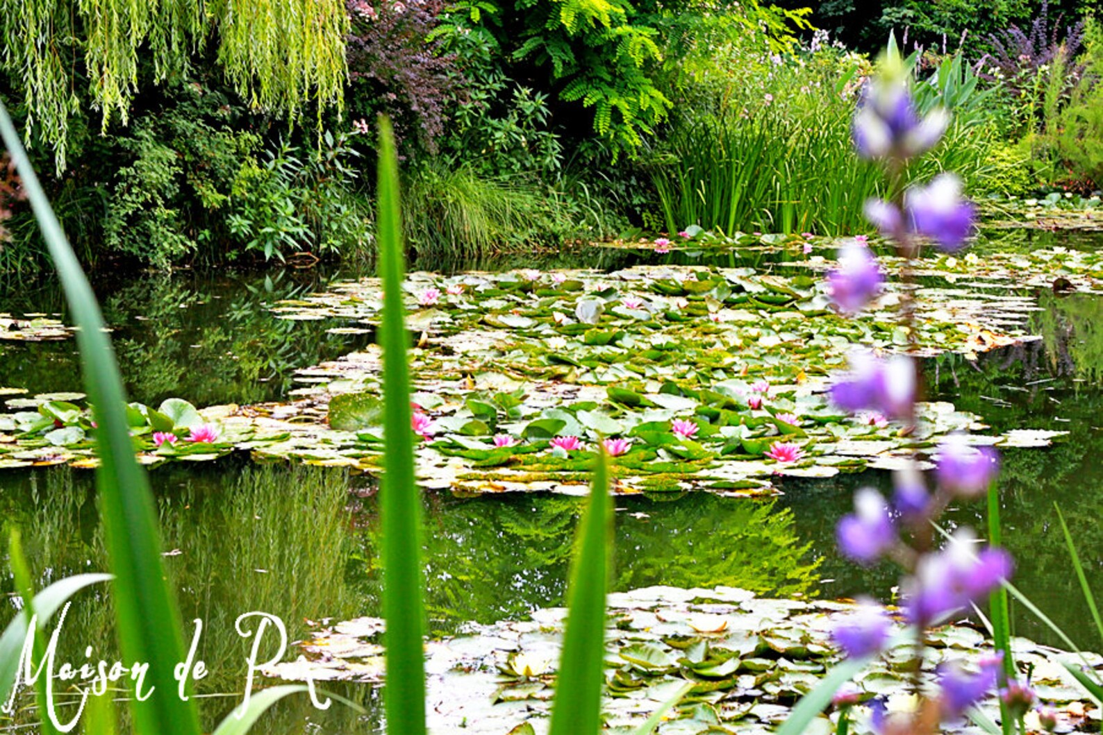 Monet's Water Lilies - Printable Instant Digital Download - Wall Art - Etsy