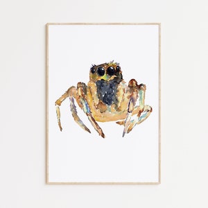 Jumping Spider painting watercolour ink iridescent Wall Art Bug Halloween Insect Goth Steam Punk Illustration Print Nursery Colorful Fly