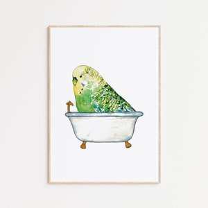 セキセイインコ緑入浴絵画壁ポスター水彩アート装飾プリント描画バスルームルームセキセイインコ鳥洗面所ペットオウム