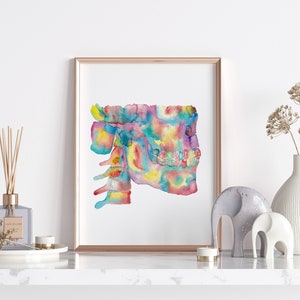 Skull teeth Pan X Ray Teeth Watercolor Art Print Dental Anatomy Watercolor Art Tooth Bone and Gingiva Molar Cross Section Poster medical