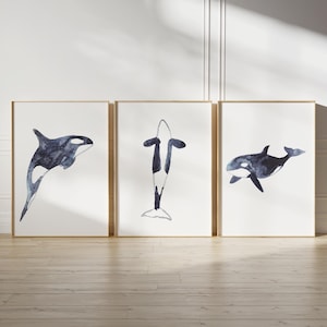 May include: Three framed watercolour paintings of orcas, or killer whales, in black and white. The orcas are depicted in different poses, including swimming, jumping, and standing upright.