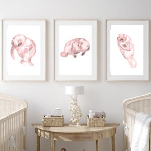 Set of 3 pink manatee watercolor painting print art whale fish animal illustration sea life mammal nautical ocean wall poster decor modern