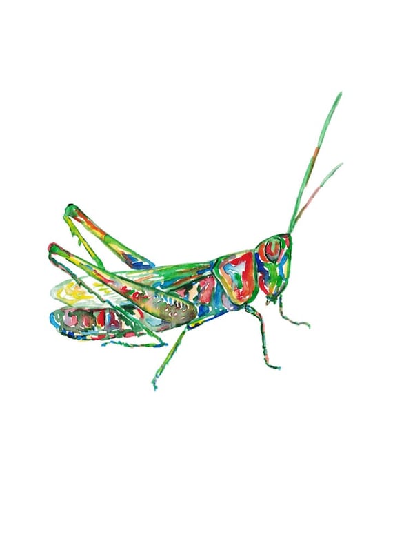 抽象画 『揺るがないバッタ』 バッタの絵水彩インク虹色グリーンウォールアートバグレインボー昆虫