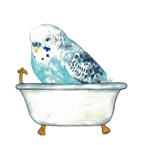 Perruche prenant bain Peinture Affiche murale Aquarelle Art Décor Imprimer Dessin salle de bain Perruche Perruche bleue oiseau salle deau pet perroquet image 4