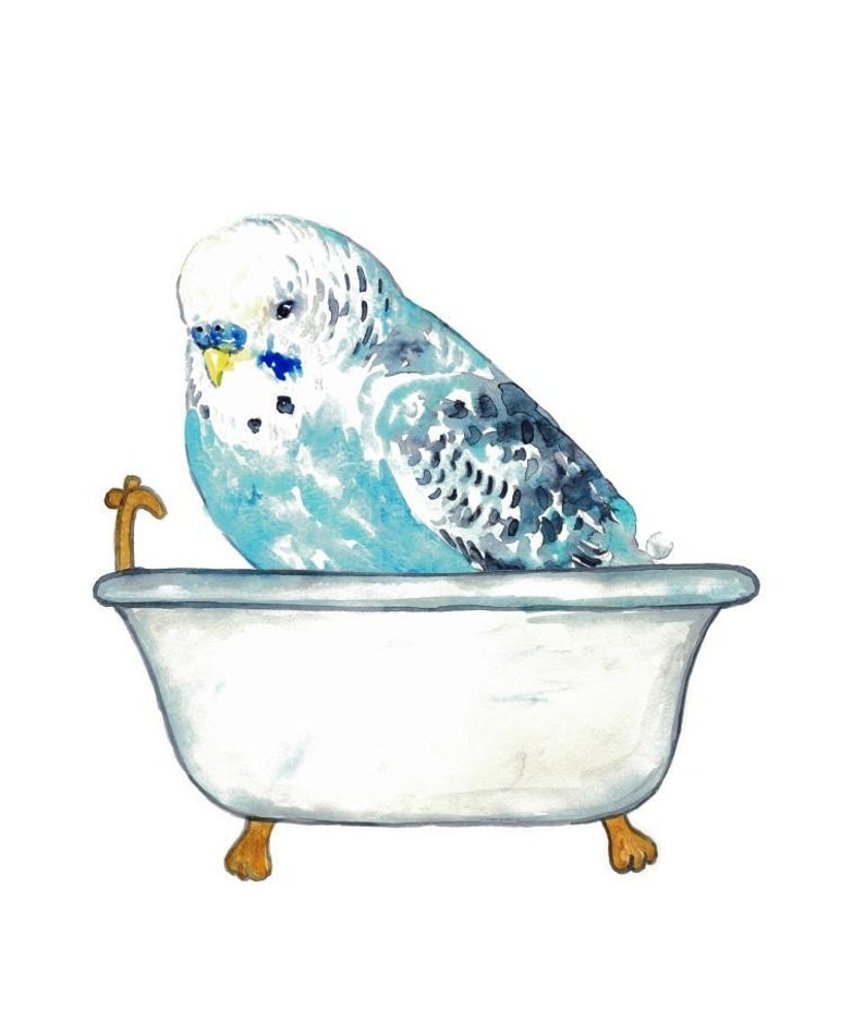 Perruche prenant bain Peinture Affiche murale Aquarelle Art Décor Imprimer Dessin salle de bain Perruche Perruche bleue oiseau salle deau pet perroquet image 4