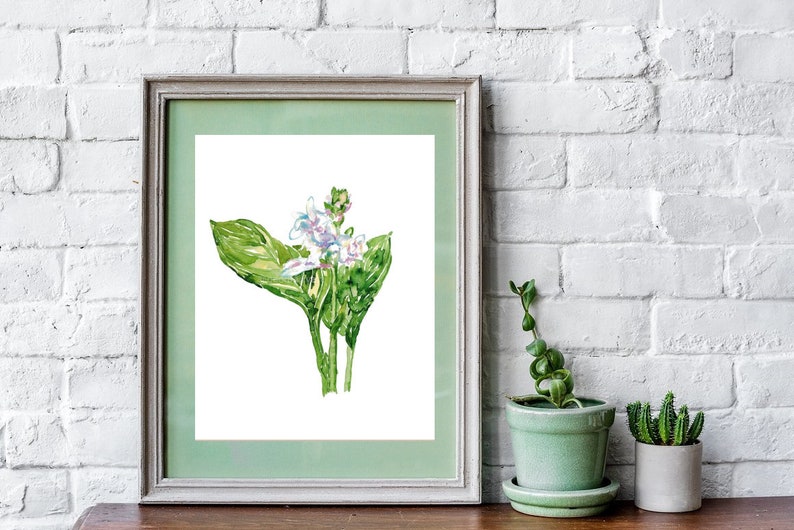 Hosta flower Painting plantain lily Green Abstract Watercolor Print Kitchen Wall Poster Illustration Living Room Art Gift Women botanical