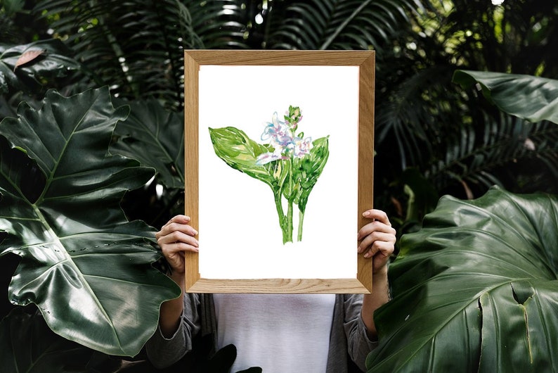 Hosta flower Painting plantain lily Green Abstract Watercolor Print Kitchen Wall Poster Illustration Living Room Art Gift Women botanical