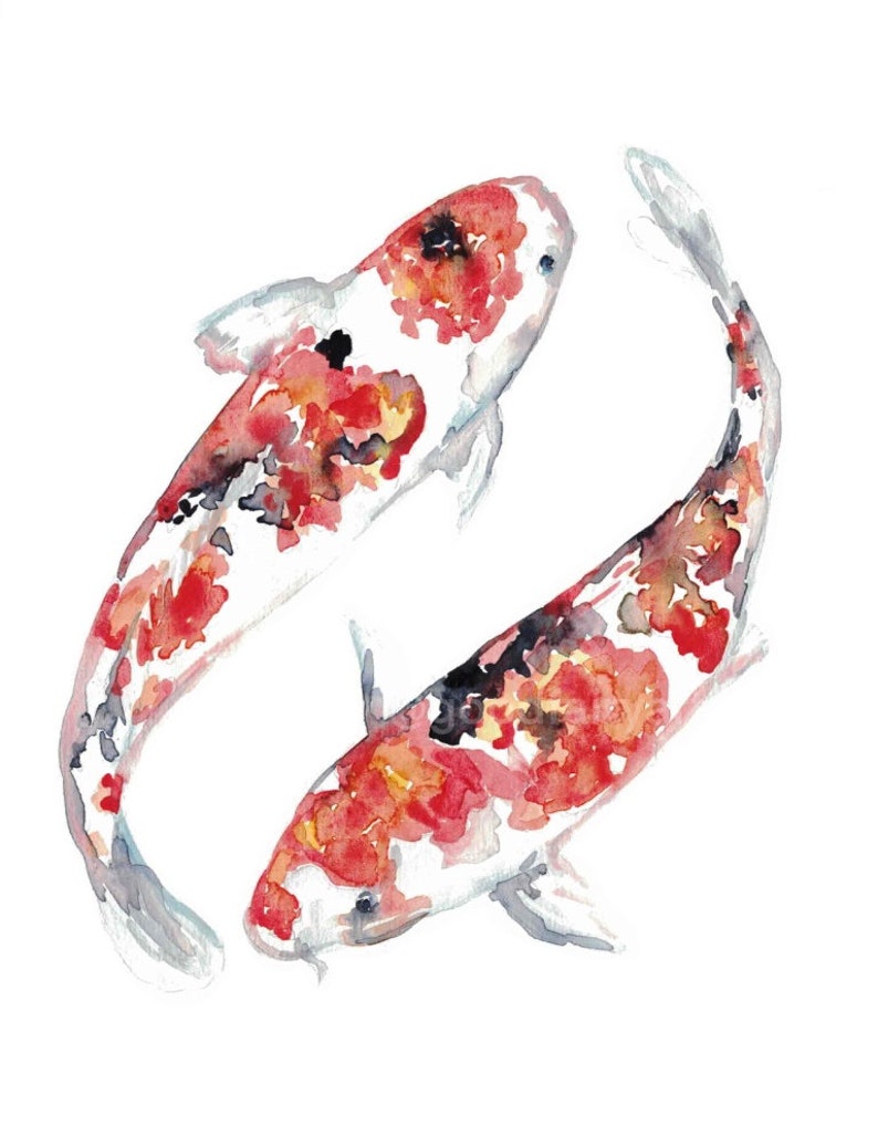 Koi Fish Watercolor Painting Print Art Animal Illustration - Etsy