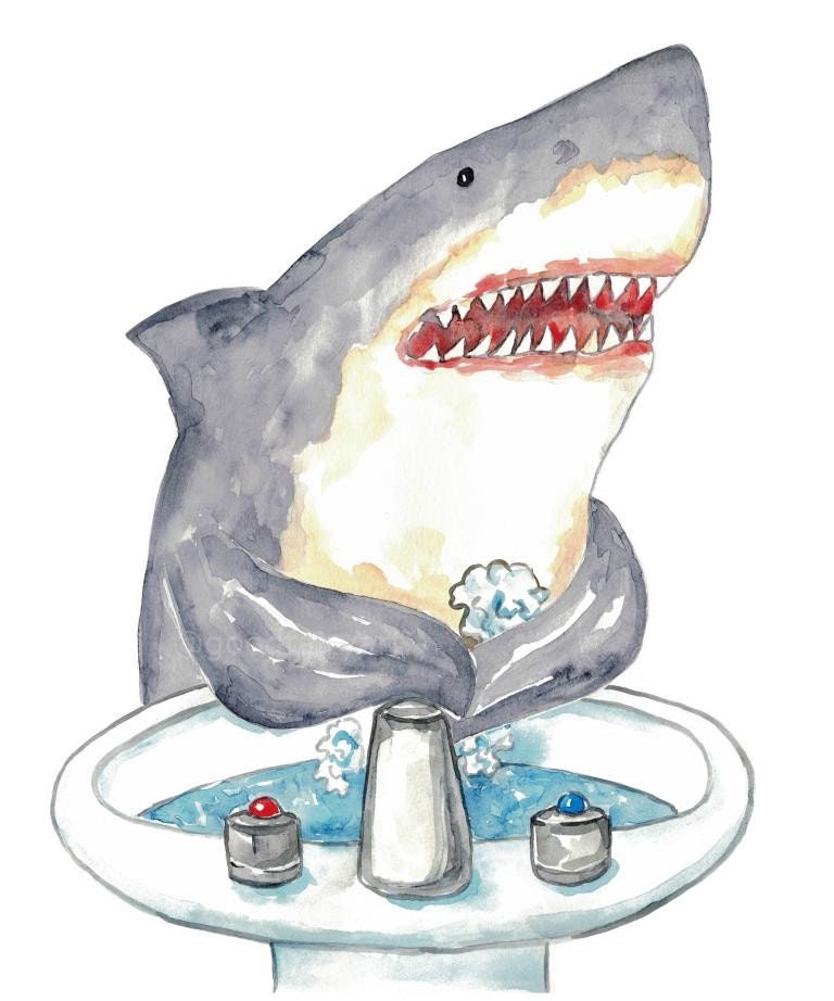 Ensemble de peinture pour le bain bébé requin