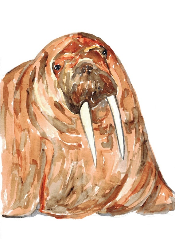 46+ Walrus Christmas Ornament 2021
