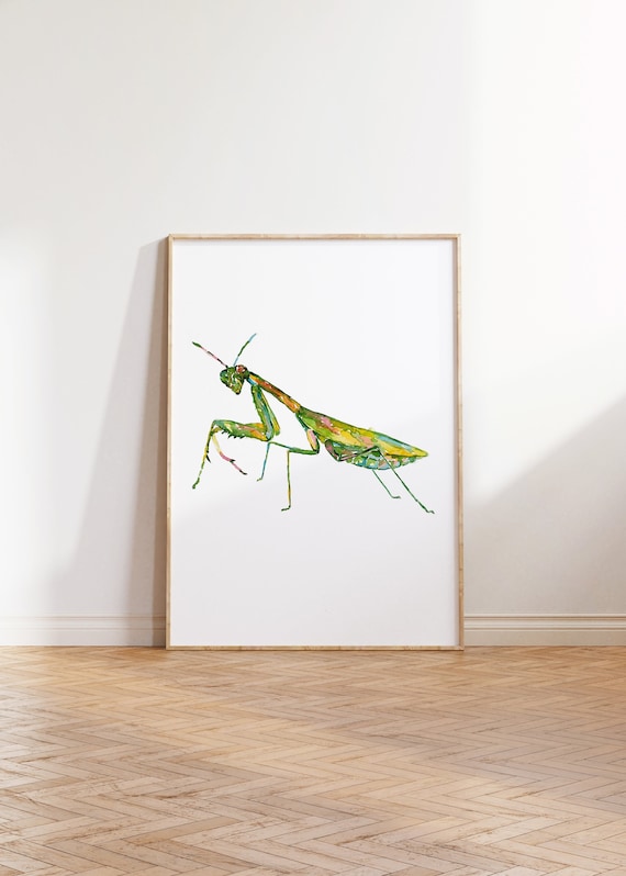 染色絵画　カマキリ カマキリ絵水彩インク虹色グリーンウォールアートバグレインボー昆虫