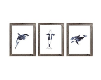 Lot de 3 orca whale peinture aquarelle art print kiler poisson illustration animal mer vie noir océan nautique affiche décoration murale moderne