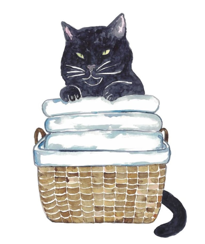 Set of 3 Black Cat Laundry Painting Wall Poster Watercolor Art Decor ...