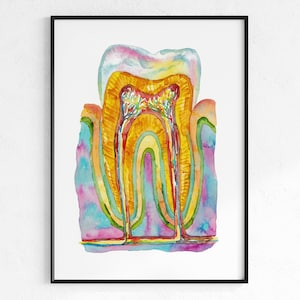 Tooth Bone and Gingiva Watercolor Print Abstract Dental Anatomy Art Molar Cross Section Poster illustration Medical Wall Clinic painting