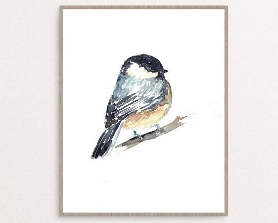 559px x 449px - Blue Tit Poster - Etsy Canada