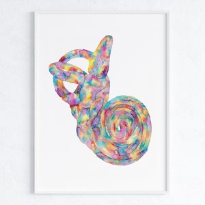 Ear Anatomy Watercolor Print Audiologist Gift Audiology Poster Science Art ENT Anatomical Office Decor Medical Middle Inner Speech Path
