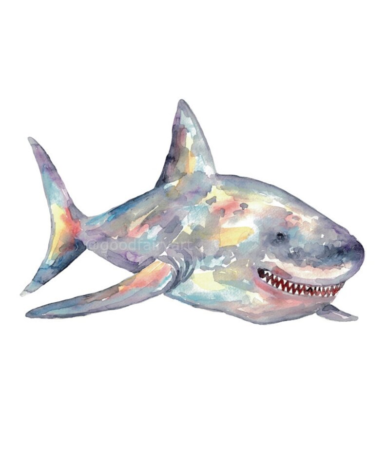 Set of 3 shark watercolor painting print art whale fish animal illustration sea life whale nautical ocean coastal wall poster decor modern