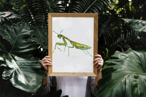 カマキリ絵水彩インク虹色グリーンウォールアートバグレインボー