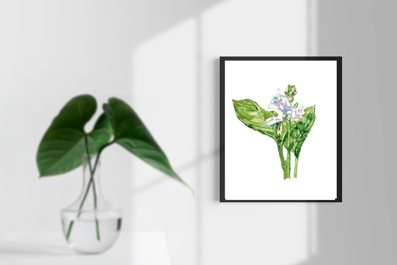 Hosta flower Painting plantain lily Green Abstract Watercolor Print Kitchen Wall Poster Illustration Living Room Art Gift Women botanical