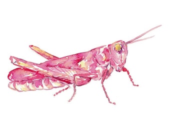 ピンクのバッタの絵水彩インク虹色グリーンウォールアートバグ