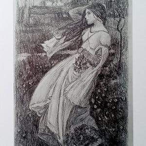 Fille soufflée par le vent