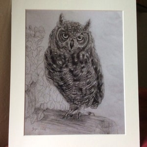 Impression de la faune chouette hulotte de mon dessin original au crayon 12 x 10 po