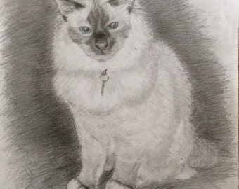 Birthday Card Birman Cat 7"x5" From my Original Pencil Drawing. Blank inside for your own message.