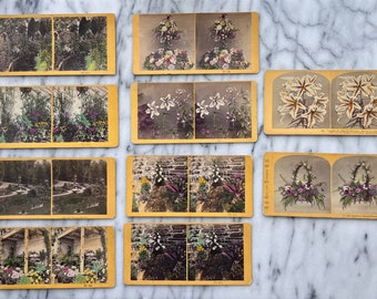 Victorian Floral Arrangements Hand Colored Stereo-view Cards - Set of 10 Stereo View Cards ca. 1880s
