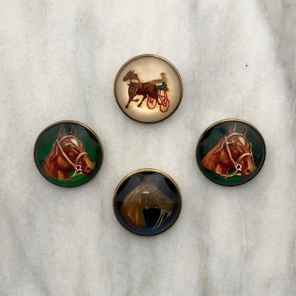 4 Vintage Horse Bridle Rosettes Domed Glass with Modified Pin Back Different Horse Motifs White Green and Blue Background