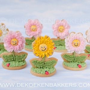 Flower Cookie Cutter | Fondant Cutter | Clay Cutter