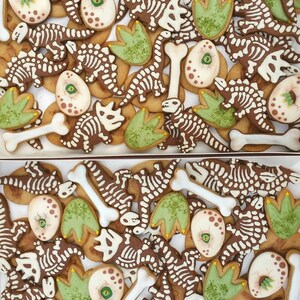 May include: Overhead shot of a box filled with dinosaur-themed cookies. The cookies are decorated with white icing to resemble dinosaur skeletons, eggs, footprints, and bones. The cookies are brown and green.
