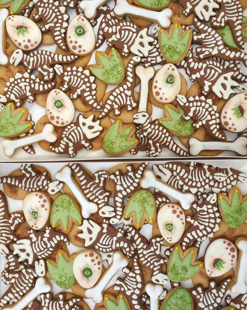 May include: Overhead shot of a box filled with dinosaur-themed cookies. The cookies are decorated with white icing to resemble dinosaur skeletons, eggs, footprints, and bones. The cookies are brown and green.