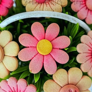 May include: Close-up of flower-shaped biscuits with pink petals and yellow centres, arranged among green leaves. Some biscuits have a smiley face design. The biscuits are in a white basket. The text "Cookie Cutter Shop" is visible.