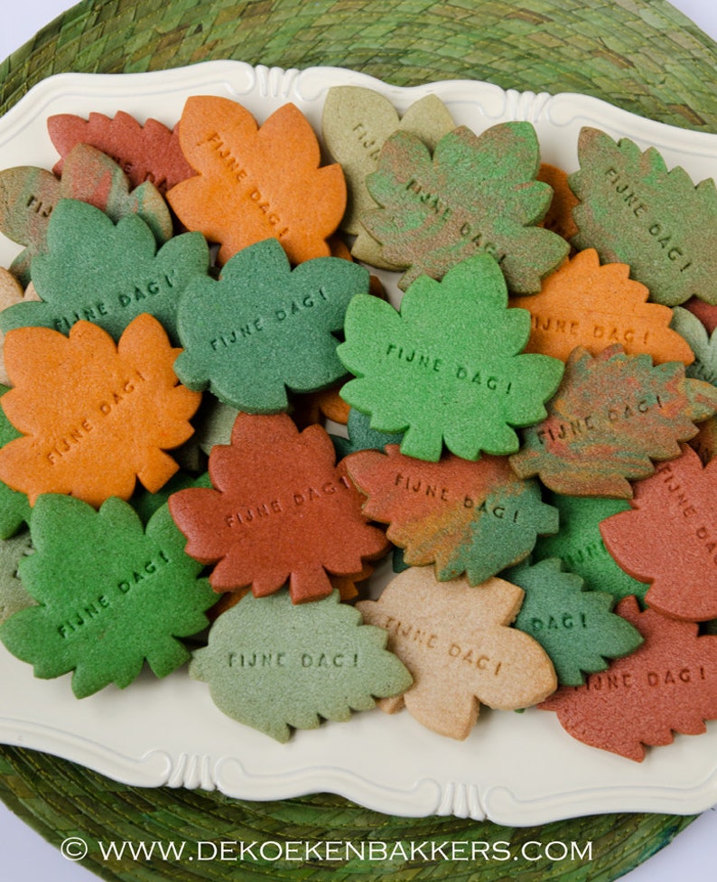 Set di stampini per biscotti con foglie autunnali Fondente Argilla Tagliabiscotti Keksausstecher Importa pezzo immagine 5