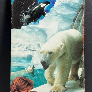 Peut inclure: Une carte vintage du parc SeaWorld Orlando, Floride, représentant une orque noire et blanche sautant hors de l'eau, un ours polaire debout sur un rocher enneigé et une famille de trois personnes regardant les animaux. La carte est imprimée sur un fond blanc avec des accents bleus et rouges.
