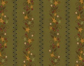 Crazy Like Us - Green Star Stripe (8247-66)
