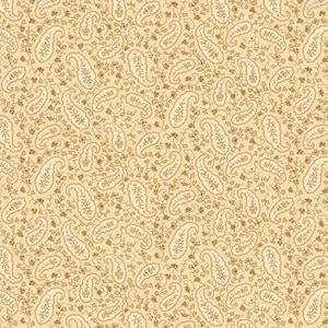 Pode incluir: Um padrão sem costura que apresenta um design repetitivo de formas paisley e pequenos motivos florais em tons de marrom sobre um fundo bege claro.